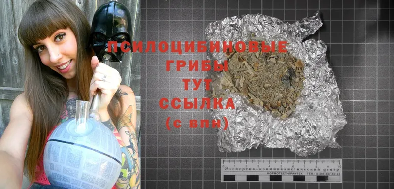 Галлюциногенные грибы Magic Shrooms  darknet как зайти  Грязи 