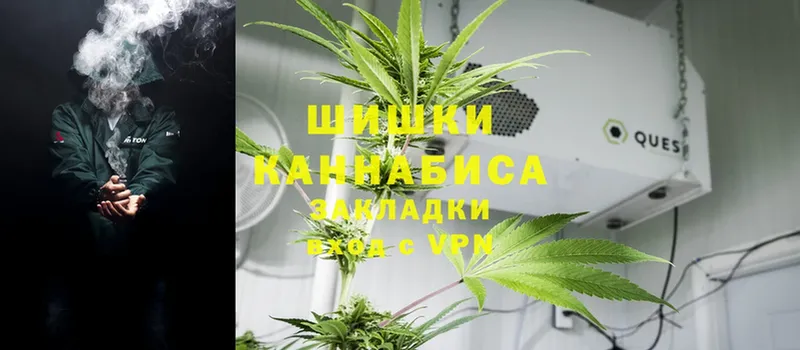 blacksprut зеркало  Грязи  Бошки марихуана OG Kush 